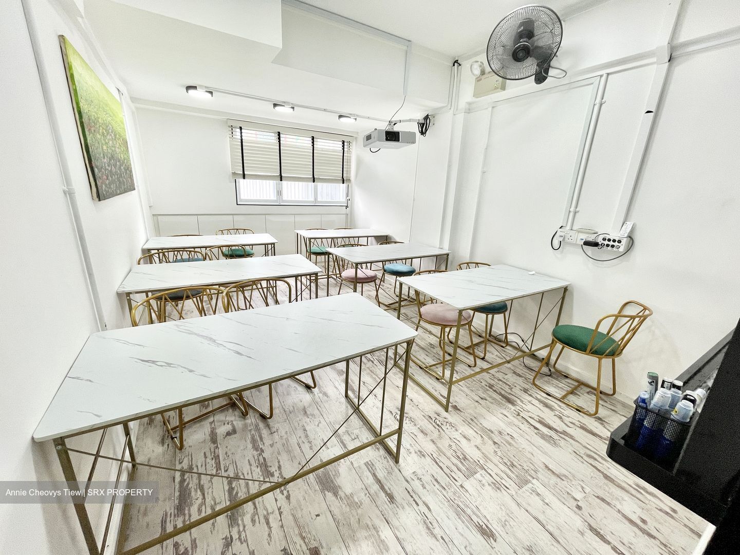 709 ANG MO KIO AVENUE 8 (D20), Shop House #494571611